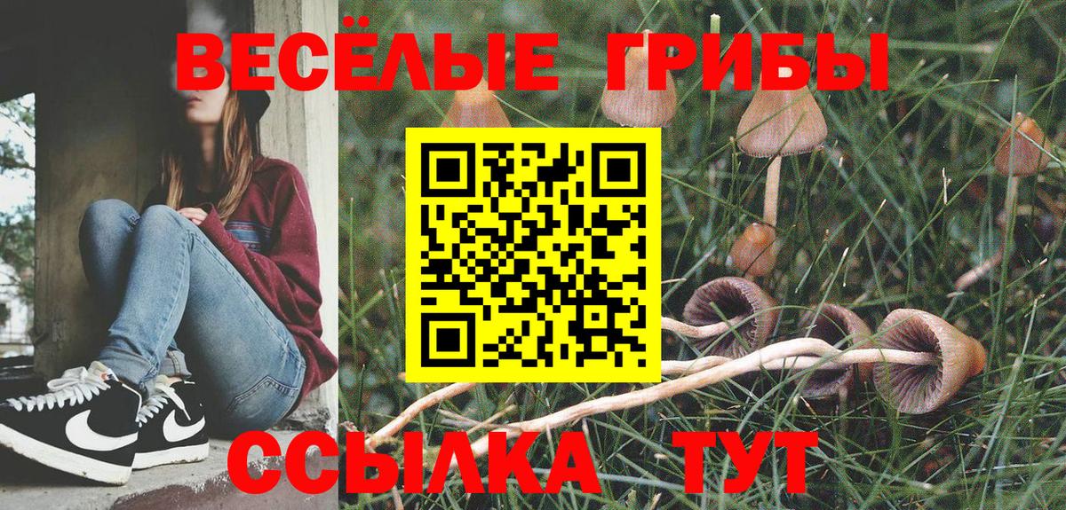 Псилоцибиновые грибы мицелий Воркута