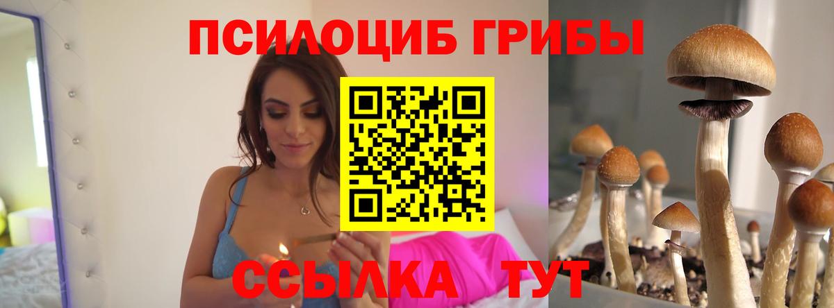 Воркута  Псилоцибиновые грибы Psilocybine cubensis  Галлюциногенные грибы Cubensis  Вход с VPN 